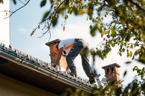Best Roof Waterproofing Services  in Trenton, NJ