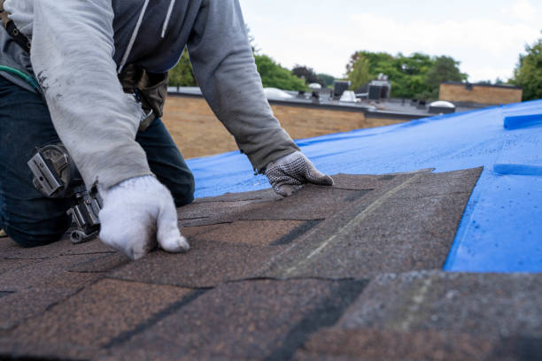 Quick and Trustworthy Emergency Roof Repair Services in Trenton, NJ