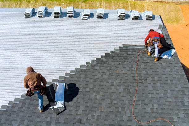 Best Roof Leak Repair  in Trenton, NJ